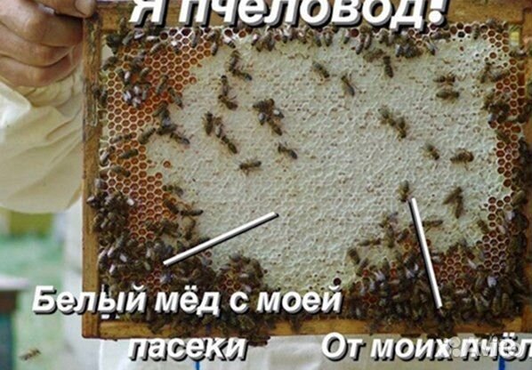 Аккураевый мед