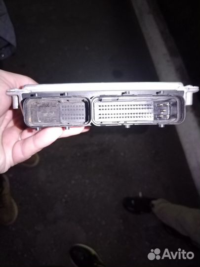 Эбу январь 7.2 124 (мозги)