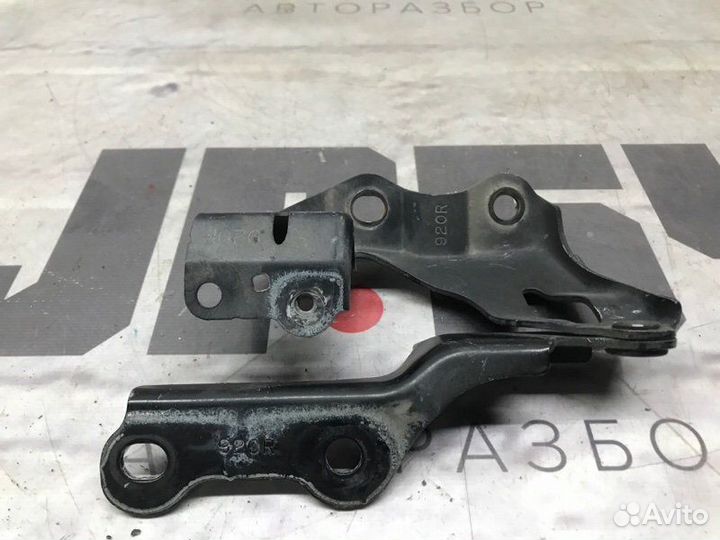 Петля капота передняя правая Lexus Gs350 GRL10