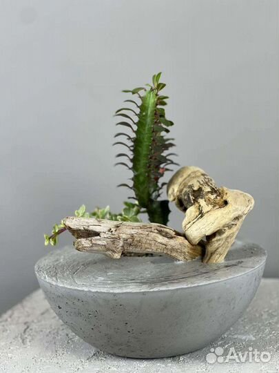 Интерьерные и сезонные композиции