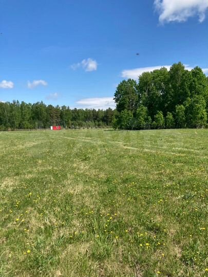 Участок 10 сот. (ИЖС)