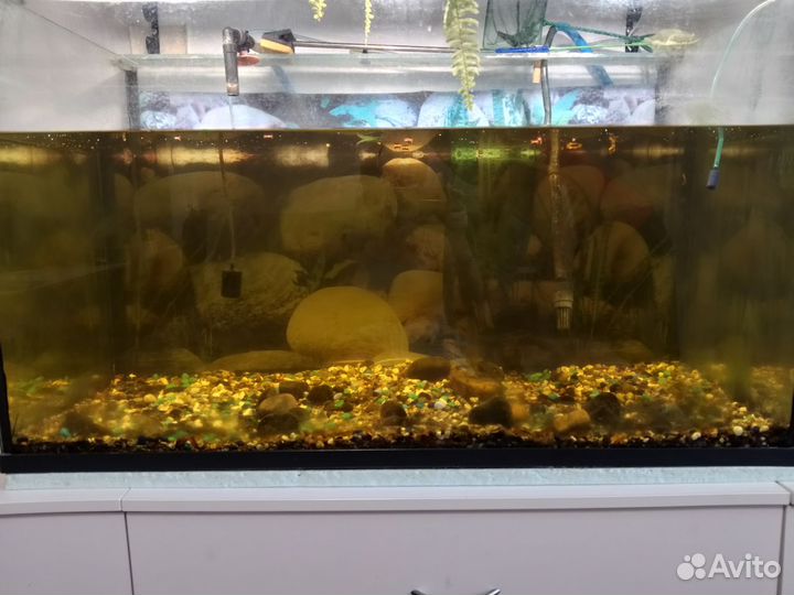 Аквариум 240 литров 99*44*58