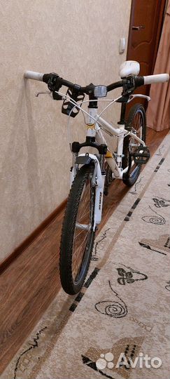 Подростковый велосипед Mongoose Rockadile