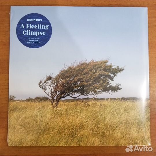 Новые запечатанные виниловые пластинки 12(13 штук)