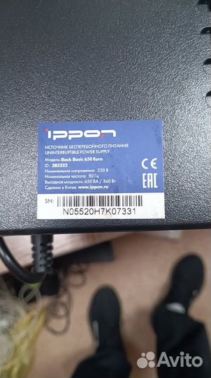 Ippon Back Basic 650 IEC