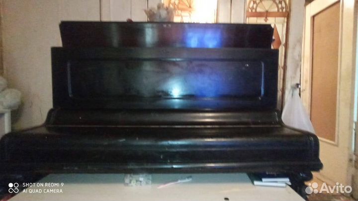 Пианино bluthner