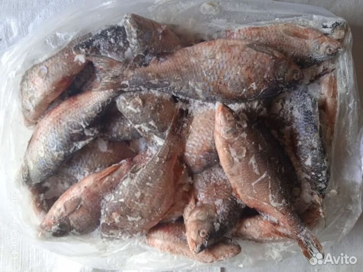 Плотва свежемороженая