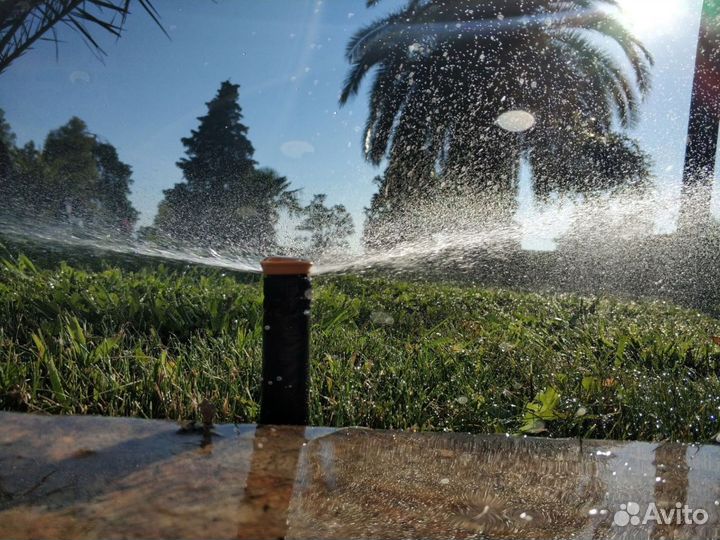 Автополив, система автополива под ключ, газон