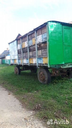 Пчелопавильон