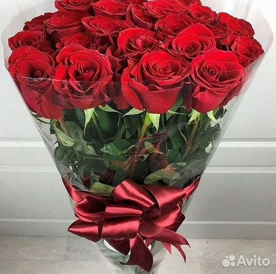 Высокие розы Гигантские розы 110