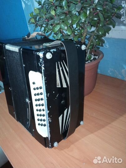 Гармонь тульская ля-мажор