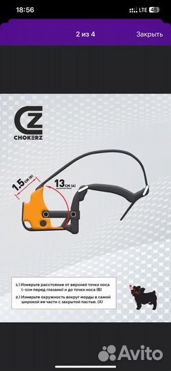 Вещи для животных