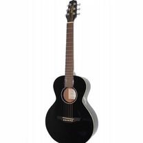 Takamine Gmini-bk