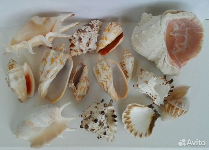 Декор в аквариум