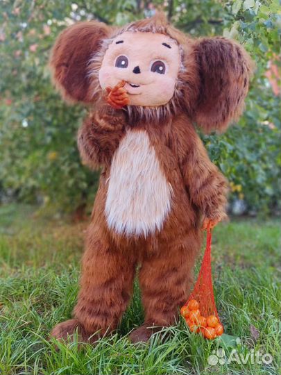 Экспресс поздравление живая открытка