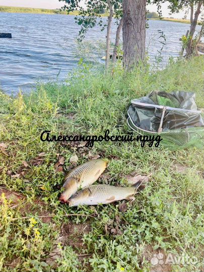 Охота и рыбалка