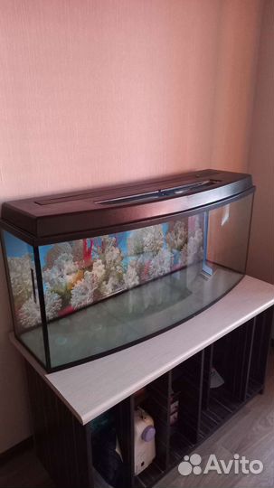 Аквариум 230л