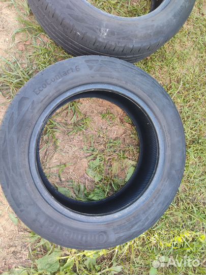 Continental ContiEcoContact 6 205/55 R16
