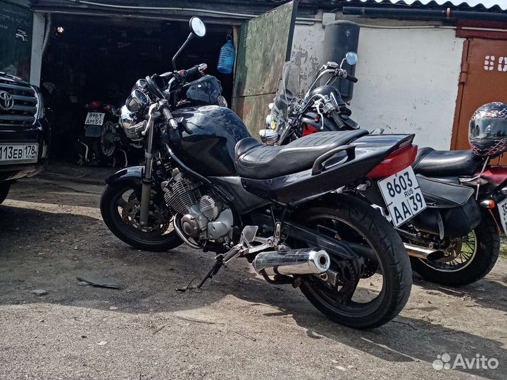 Продам yamaha diversion 600n
