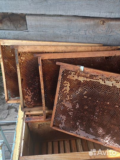 Сушь для пчел