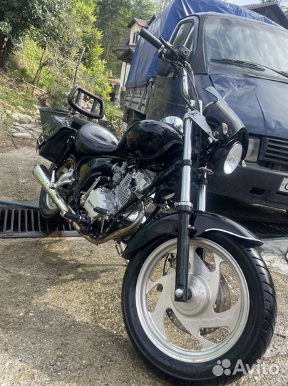Vento gladiator