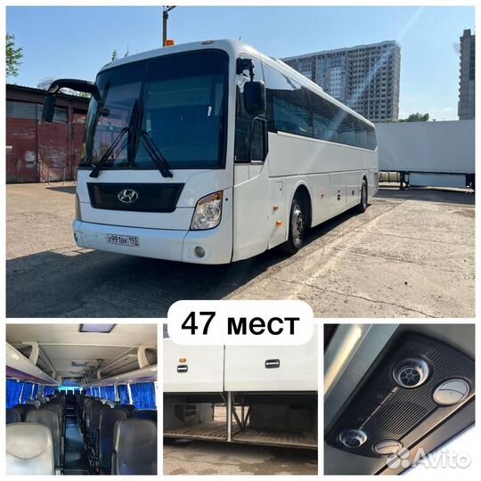 Аренда автобуса перевозка детей