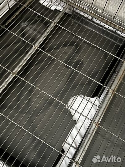 Вольер для собак бу