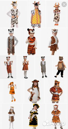 Костюмы разных животных