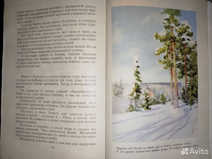 За лесной завесой Г. Скребицкий Детгиз