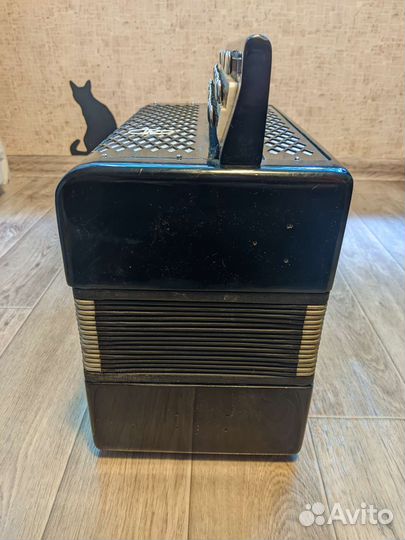 Баян Юность