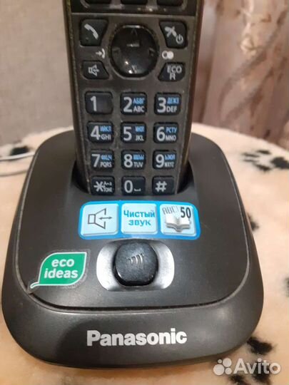 Panasonic