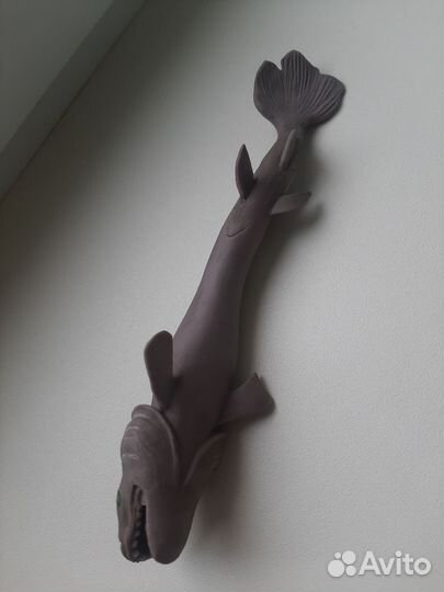 Плащеносная акула Co&maksi deagostini