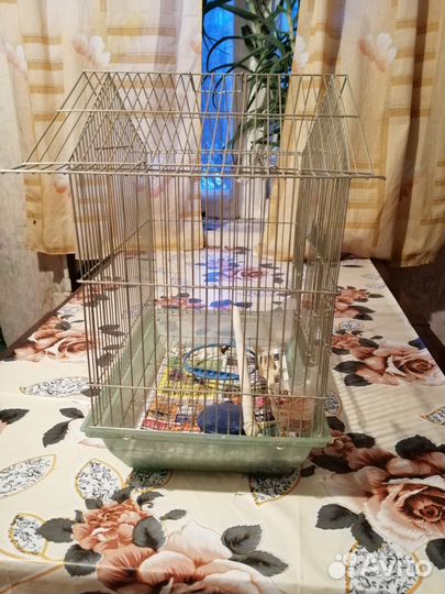 Клетка для грызунов