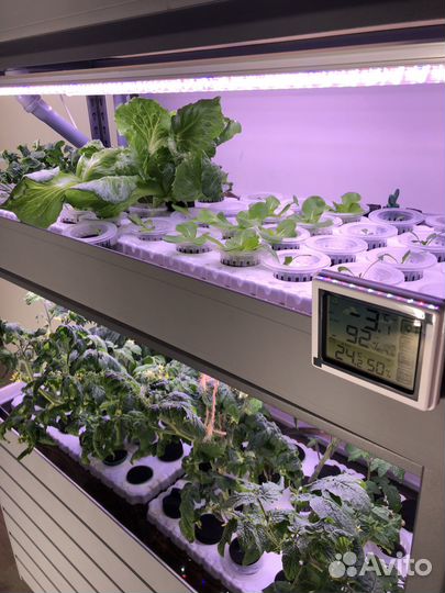 Гидропонная установка на 192 корня, 2 контура