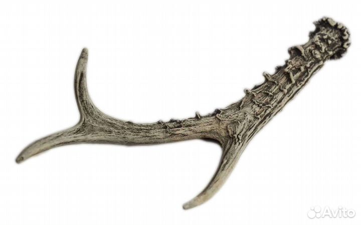 Рога косули