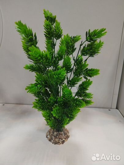 Декор для аквариума растения хмель