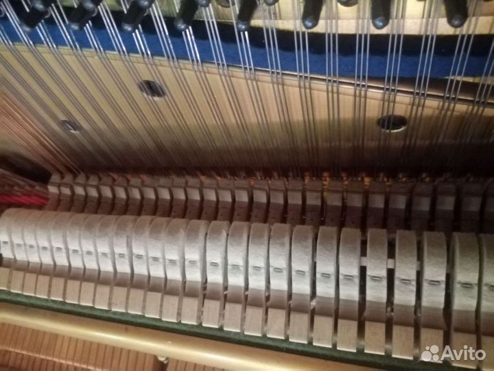 Пманино Блютнер