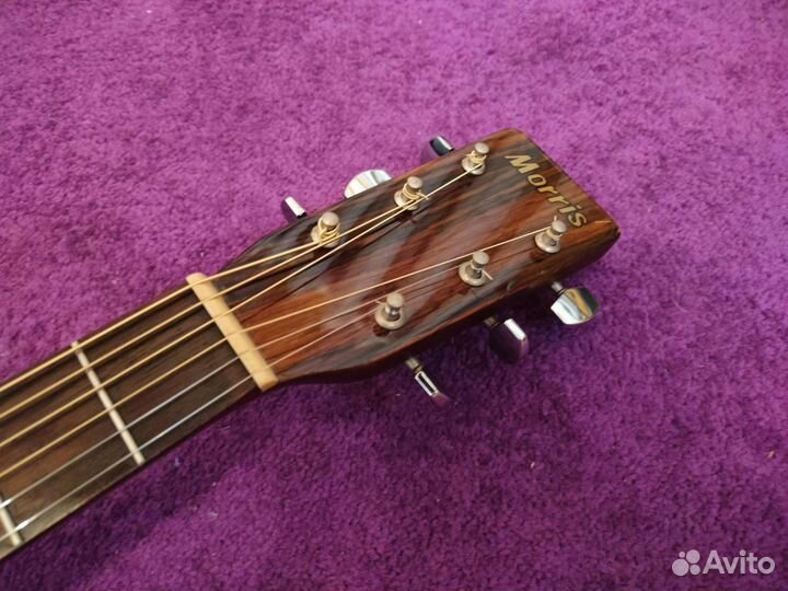 Акустическая гитара Morris md-502