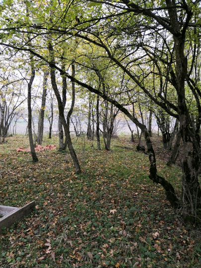 Участок 12 сот. (ИЖС)