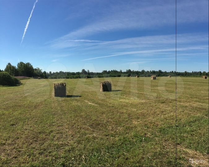 Участок 22000 га (СНТ, ДНП)