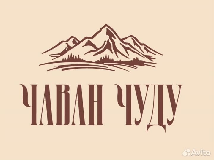 Бариста кассир