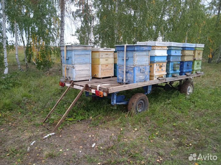 Прицеп платформа для перевозки и кочёвки пчел