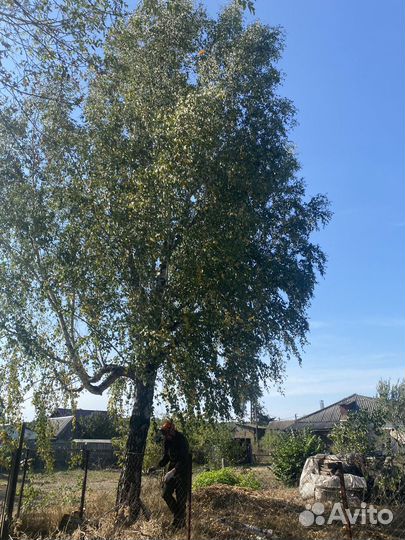 Опиловка деревьев и измельчение веток