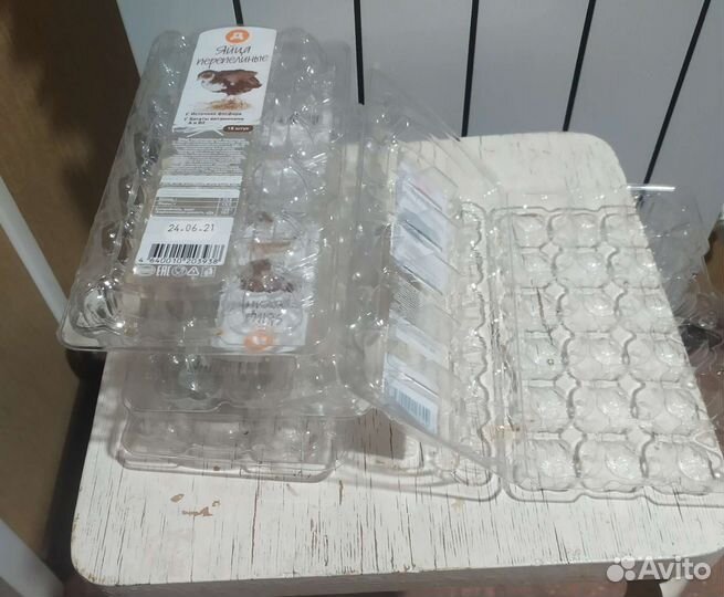 Контейнер для перепелиных яиц