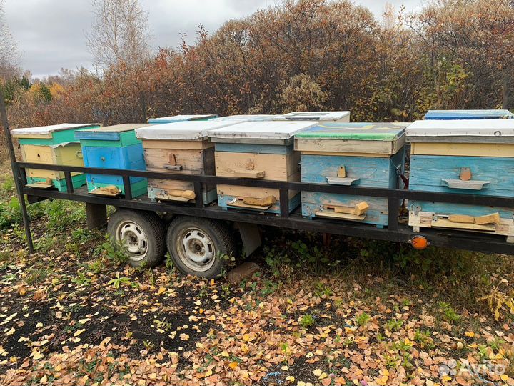 Ульи для пчел