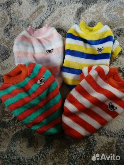 Одежда для собачек