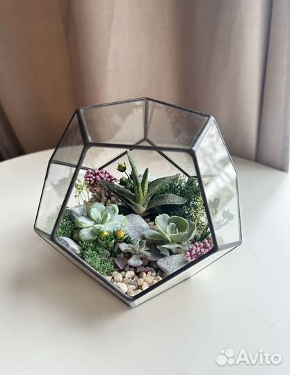 Флорариум. Подарок на 8 марта