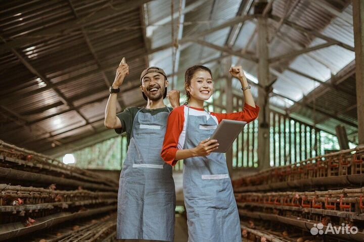 Разнорабочие Высокий доход Питание Проживание