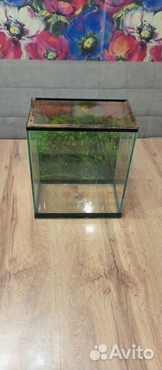 Аквариум и принадлежности