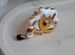 Кольцо, серьги и колье от Schiaparelli LUX